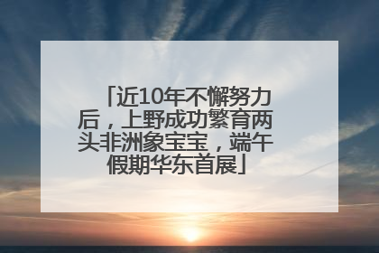 近10年不懈努力后，上野成功繁育两头非洲象宝宝，端午假期华东首展