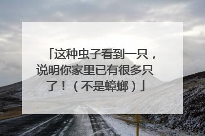 这种虫子看到一只，说明你家里已有很多只了！（不是蟑螂）