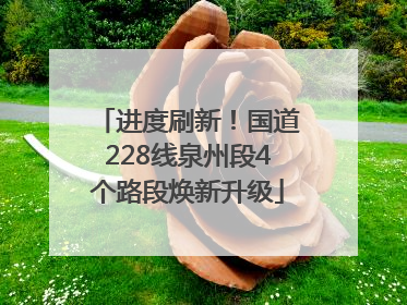 进度刷新！国道228线泉州段4个路段焕新升级