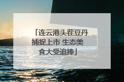 连云港头茬豆丹捕捉上市 生态美食大受追捧