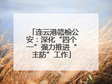 连云港赣榆公安：深化“四个一”强力推进“主防”工作
