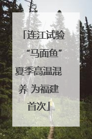 连江试验“马面鱼”夏季高温混养 为福建首次