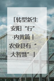 转型新生安阳“行”·内黄篇丨农业县有“大智慧”