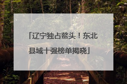 辽宁独占鳌头！东北县域十强榜单揭晓