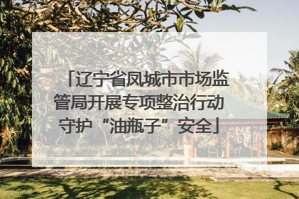 辽宁省凤城市市场监管局开展专项整治行动守护“油瓶子”安全