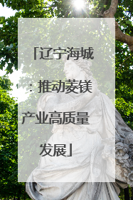 辽宁海城：推动菱镁产业高质量发展