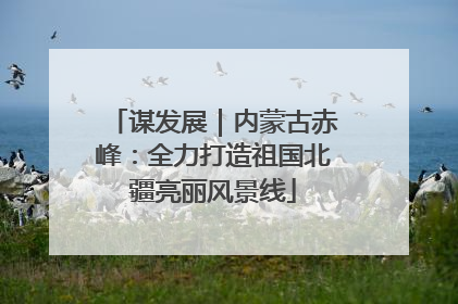 谋发展｜内蒙古赤峰：全力打造祖国北疆亮丽风景线