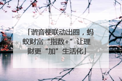 谐音梗联动出圈，蚂蚁财富“指数+”让理财更“加”生活化
