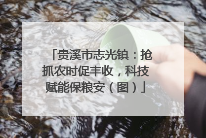 贵溪市志光镇：抢抓农时促丰收，科技赋能保粮安（图）