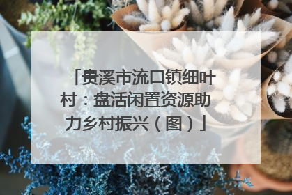 贵溪市流口镇细叶村：盘活闲置资源助力乡村振兴（图）