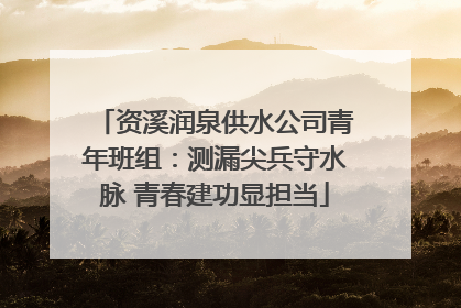 资溪润泉供水公司青年班组：测漏尖兵守水脉 青春建功显担当