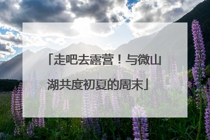 走吧去露营！与微山湖共度初夏的周末