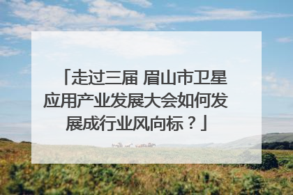走过三届 眉山市卫星应用产业发展大会如何发展成行业风向标？