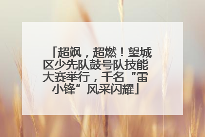 超飒，超燃！望城区少先队鼓号队技能大赛举行，千名“雷小锋”风采闪耀