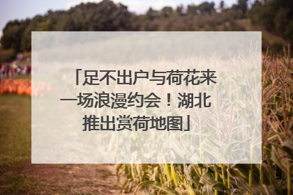 足不出户与荷花来一场浪漫约会！湖北推出赏荷地图