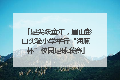 足尖跃童年，眉山彭山实验小学举行“海豚杯”校园足球联赛