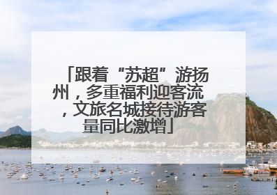 跟着“苏超”游扬州，多重福利迎客流，文旅名城接待游客量同比激增