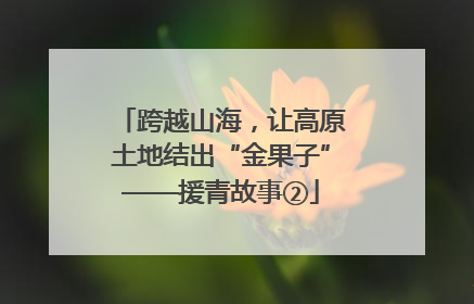 跨越山海，让高原土地结出“金果子”——援青故事②