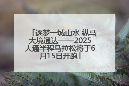 逐梦一城山水 纵马大境通达——2025大通半程马拉松将于6月15日开跑