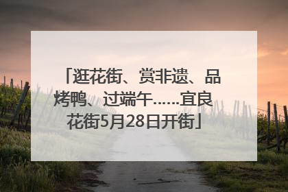 逛花街、赏非遗、品烤鸭、过端午……宜良花街5月28日开街