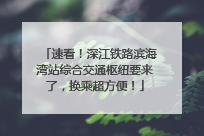 速看！深江铁路滨海湾站综合交通枢纽要来了，换乘超方便！