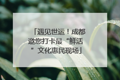 遇见世运！成都邀您打卡最“鲜活”文化惠民现场
