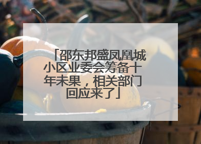 邵东邦盛凤凰城小区业委会筹备十年未果，相关部门回应来了