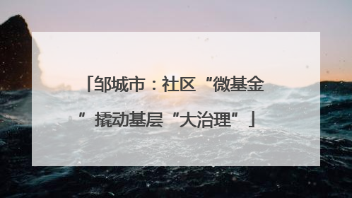 邹城市：社区“微基金”撬动基层“大治理”