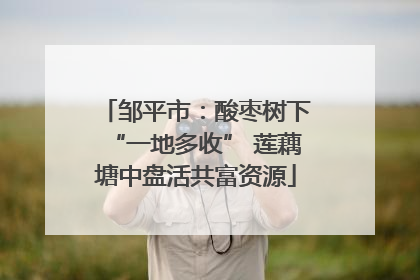 邹平市：酸枣树下“一地多收” 莲藕塘中盘活共富资源