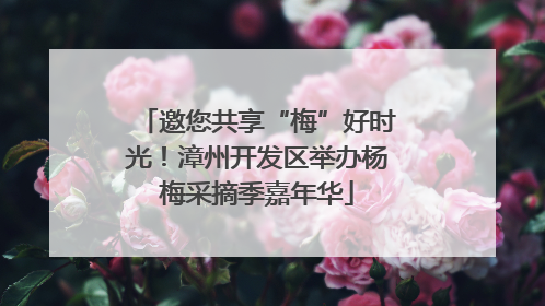 邀您共享“梅”好时光！漳州开发区举办杨梅采摘季嘉年华