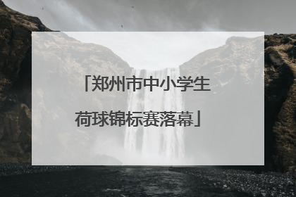 郑州市中小学生荷球锦标赛落幕