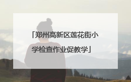 郑州高新区莲花街小学检查作业促教学
