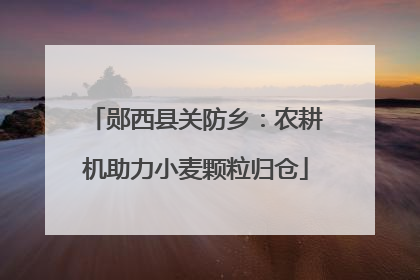 郧西县关防乡：农耕机助力小麦颗粒归仓