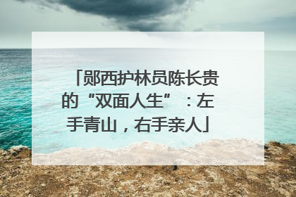 郧西护林员陈长贵的“双面人生”：左手青山，右手亲人