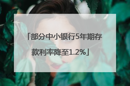 部分中小银行5年期存款利率降至1.2%