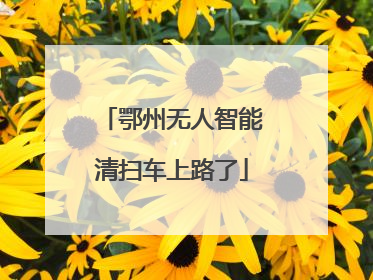 鄂州无人智能清扫车上路了