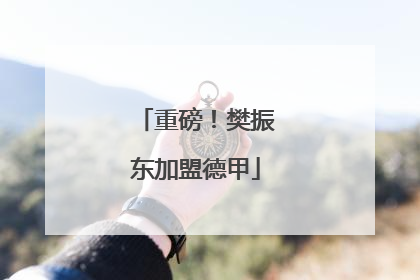 重磅！樊振东加盟德甲