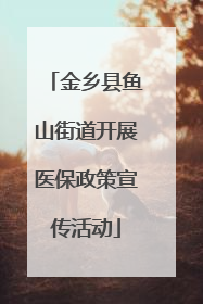 金乡县鱼山街道开展医保政策宣传活动