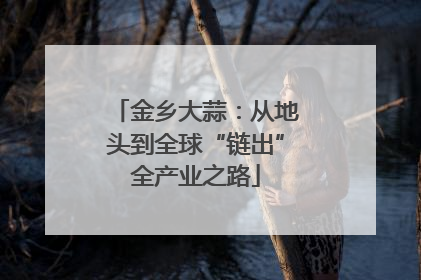 金乡大蒜：从地头到全球“链出”全产业之路