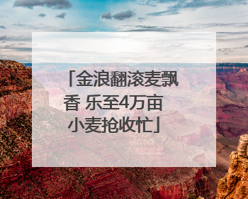 金浪翻滚麦飘香 乐至4万亩小麦抢收忙