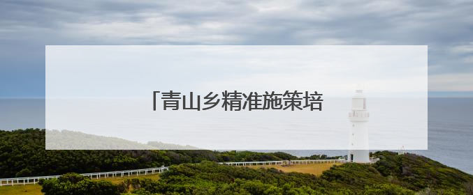 青山乡精准施策培育“头雁”队伍