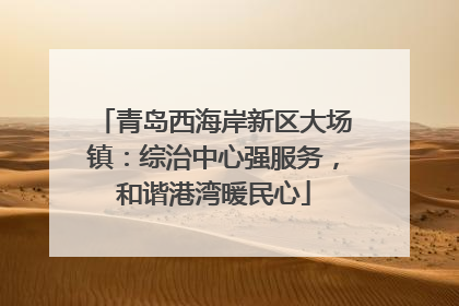 青岛西海岸新区大场镇：综治中心强服务，和谐港湾暖民心