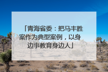 青海省委：把马丰胜案作为典型案例，以身边事教育身边人
