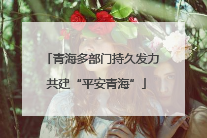 青海多部门持久发力共建“平安青海”