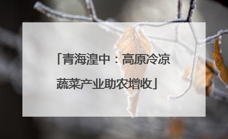 青海湟中：高原冷凉蔬菜产业助农增收