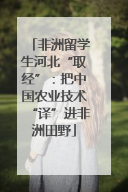 非洲留学生河北“取经”：把中国农业技术“译”进非洲田野
