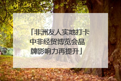 非洲友人实地打卡 中非经贸博览会品牌影响力再提升