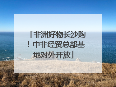 非洲好物长沙购！中非经贸总部基地对外开放