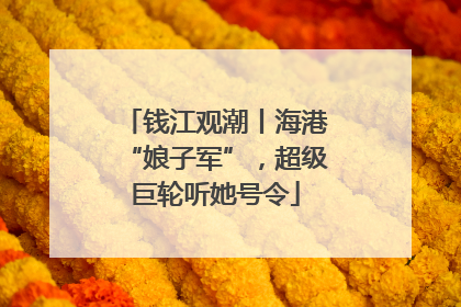 钱江观潮丨海港“娘子军”，超级巨轮听她号令