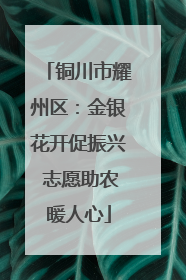铜川市耀州区：金银花开促振兴 志愿助农暖人心